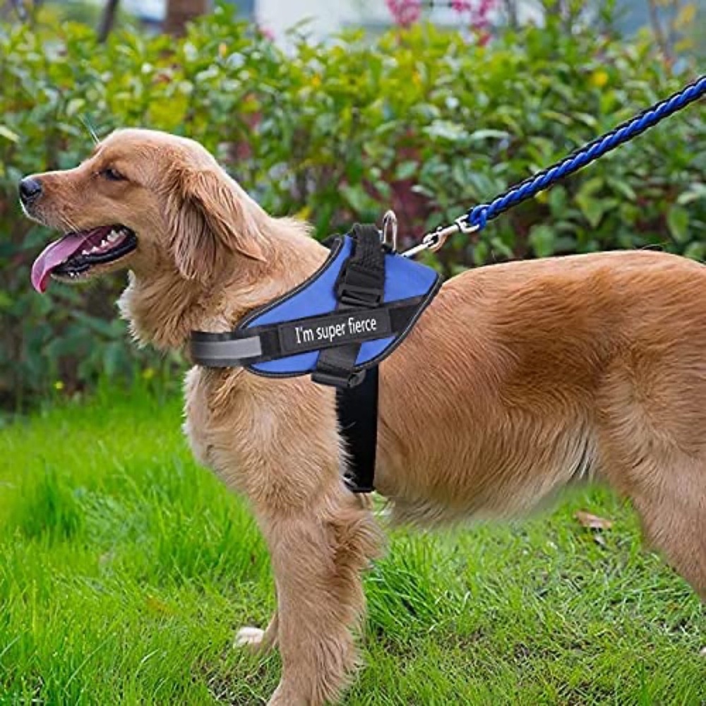 Dog Adjustable Walking Pet Harness Reflective Breathable Vest with Handle Blue S - Picture 6 of 6
